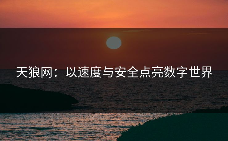 天狼网：以速度与安全点亮数字世界