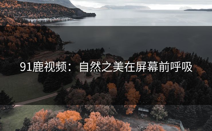 91鹿视频:自然之美在屏幕前呼吸 91鹿视频:自然之美在屏幕前呼吸