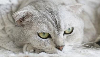 【独家】黑料科普：猛料背后3种类型
