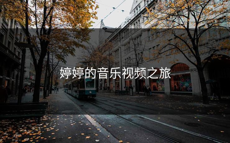 婷婷的音乐视频之旅