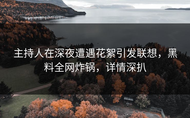 主持人在深夜遭遇花絮引发联想，黑料全网炸锅，详情深扒